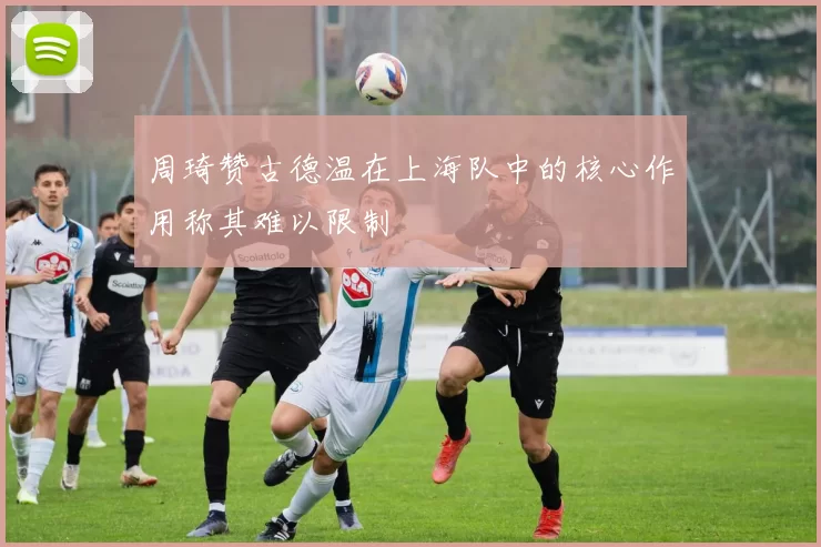 周琦赞古德温在上海队中的核心作用称其难以限制