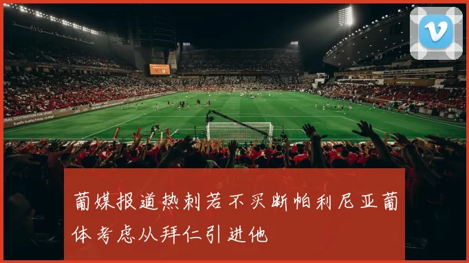 葡媒报道热刺若不买断帕利尼亚葡体考虑从拜仁引进他